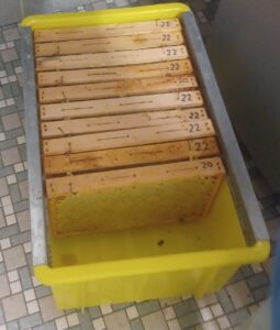 verdeckelte Waben