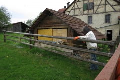 Schwarm_Bienen_1