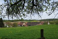 Schwarm_sammeln